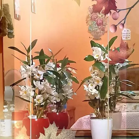 Love Bella Apartament Alessandria