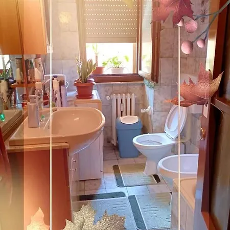 Love Bella